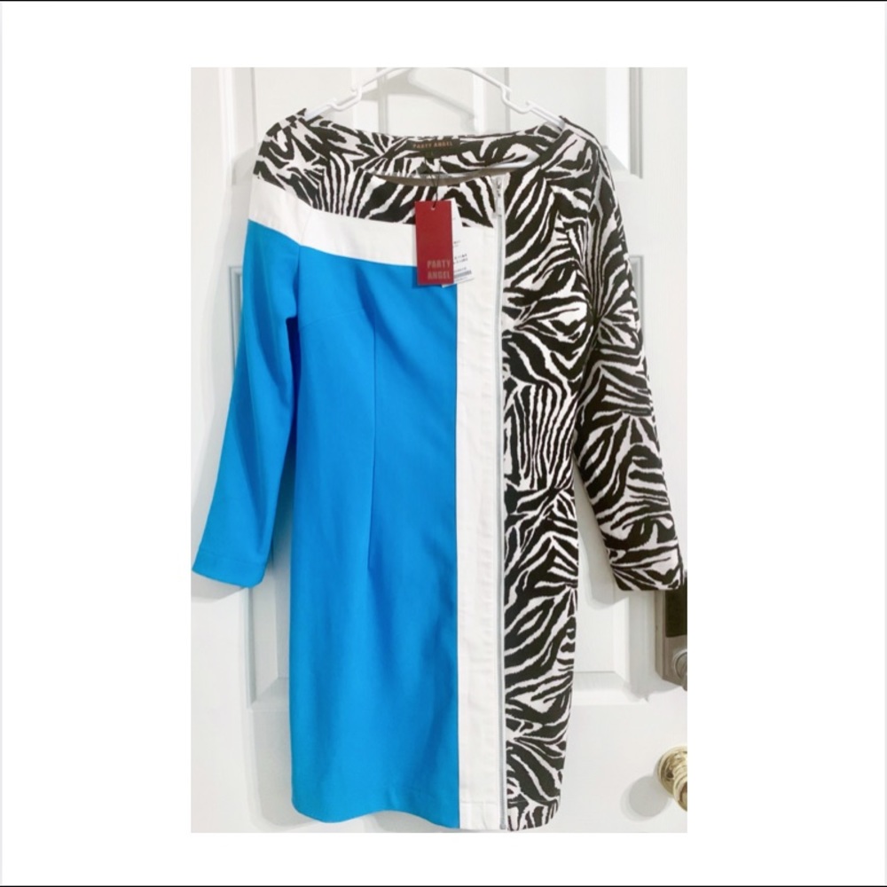 Nice Women Dress